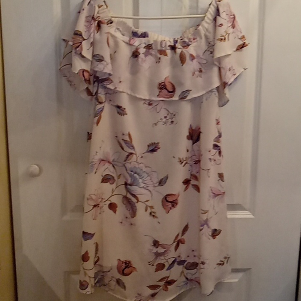 Peppermint Pale Pink Floral Dress Size Large